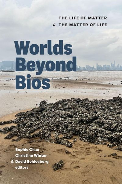 Produktbild: Worlds Beyond Bios