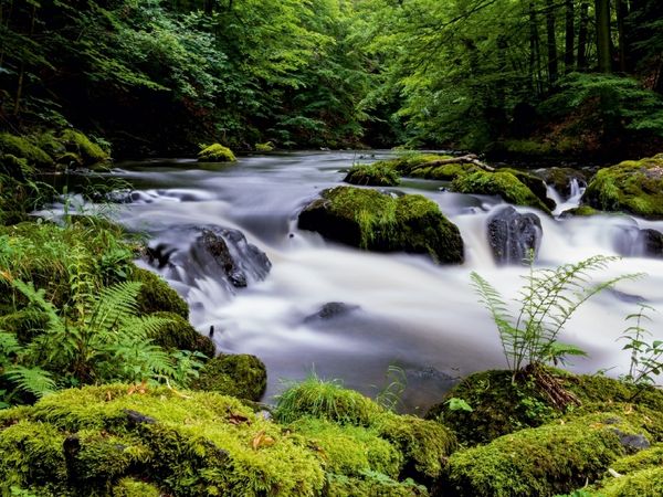 Produktbild: CALVENDO Puzzle Sommer im Bodetal | 1000 Teile Lege-Gr&ouml;&szlig;e 64x48cm Foto-Puzzle f&uuml;r gl&uuml;ckliche Stunden