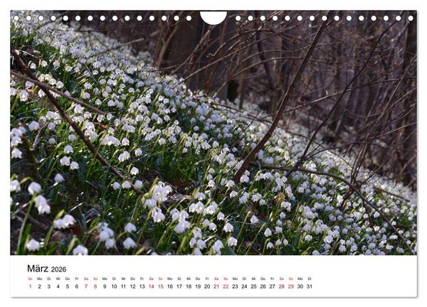 Produktbild: Zauberhafte Schw&auml;bische Alb (Wandkalender 2026 DIN A4 quer), CALVENDO Monatskalender