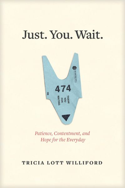 Produktbild: Just. You. Wait.