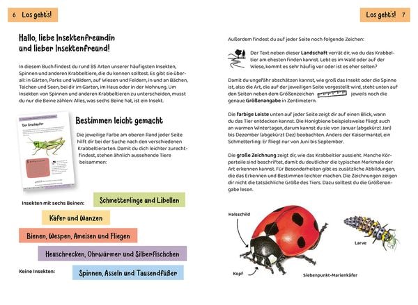 Produktbild: KOSMOS Was krabbelt denn da? Naturf&uuml;hrer f&uuml;r Kinder ab 8 Jahren
