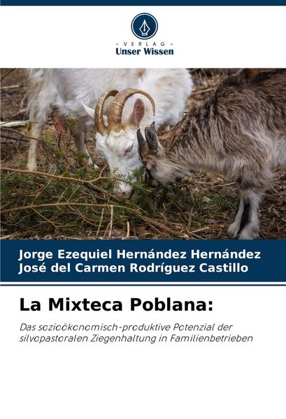 Produktbild: La Mixteca Poblana: