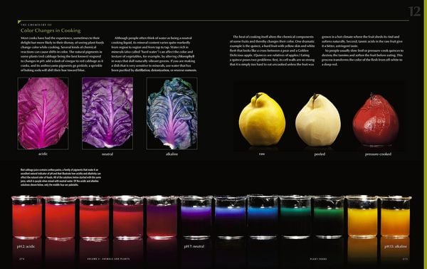 Produktbild: Modernist Cuisine: The Art and Science of Cooking