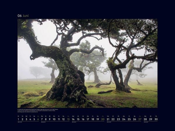 Produktbild: Magische W&auml;lder der Erde - KUNTH Wandkalender 2027