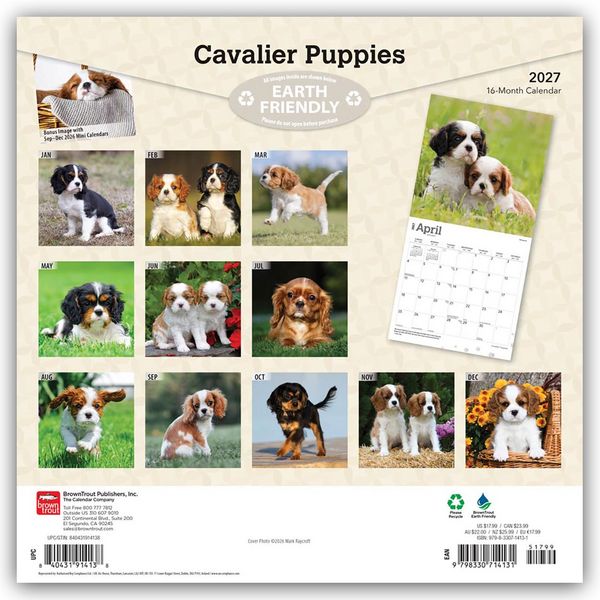 Produktbild: Cavalier King Charles Spaniel Puppies &ndash; Cavalier King Charles Spaniel Welpen 2027 &ndash; 16-Monatskalender