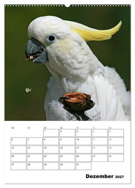 Produktbild: Papageien - Graupapagei, Rosella und Co. (hochwertiger Premium Wandkalender 2027 DIN A2 hoch), Kunstdruck in Hochglanz