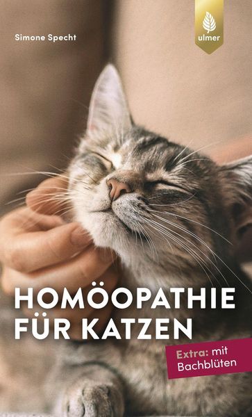 Bild zum Artikel: Homöopathie für Katzen