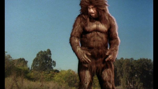 Produktbild: Yeti - Der Schneemensch kommt