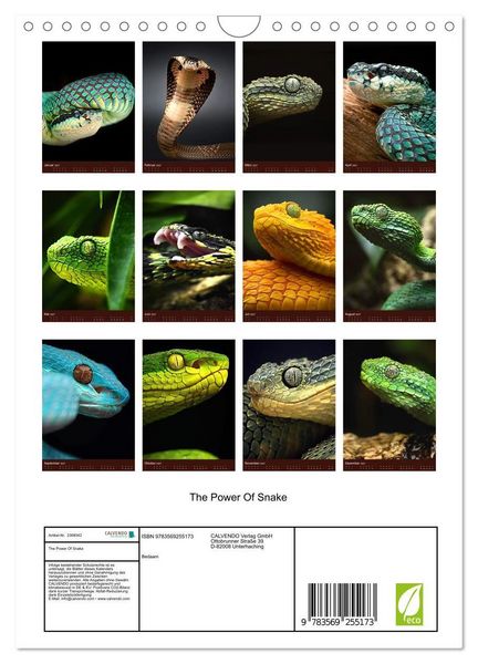 Produktbild: The Power Of Snake (Wandkalender 2027 DIN A4 hoch), CALVENDO Monatskalender