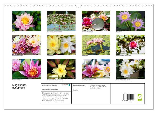 Produktbild: Magnifiques n&eacute;nuphars (Calendrier mural 2026 DIN A3 vertical), CALVENDO calendrier mensuel