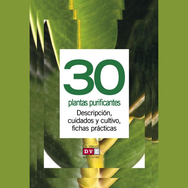 30 plantas purificantes