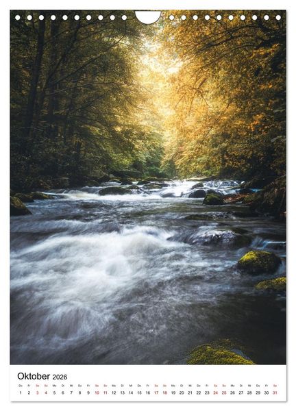 Produktbild: Mystischer Harz - Zwischen Licht und Schatten (Wandkalender 2026 DIN A4 hoch), CALVENDO Monatskalender