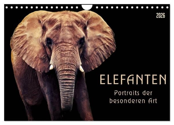 Elefanten - Portraits der besonderen Art (Wandkalender 2026 DIN A4 quer), CALVENDO Monatskalender