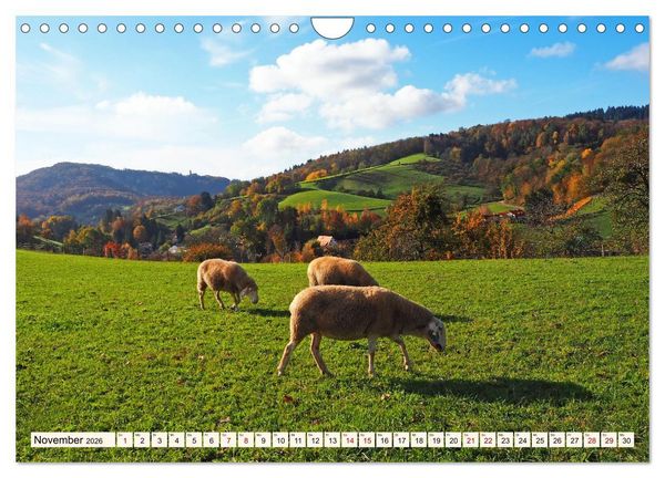Produktbild: Vom Ried an die Bergstra&szlig;e, durch den Odenwald ins Neckartal (Wandkalender 2026 DIN A4 quer), CALVENDO Monatskalender