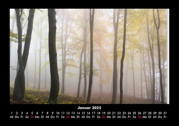 Produktbild: B&auml;ume 2025 Fotokalender DIN A3