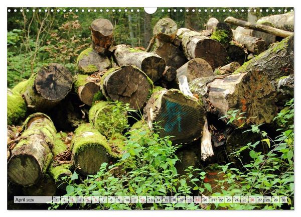 Produktbild: HOLZ - Stapel und St&auml;mme (Wandkalender 2026 DIN A3 quer), CALVENDO Monatskalender