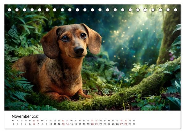 Produktbild: Herzensbrecher - Ein Jahr mit Dackeln (Tischkalender 2027 DIN A5 quer), CALVENDO Monatskalender
