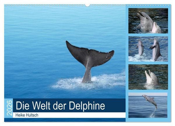 Produktbild: Die Welt der Delphine (Wandkalender 2026 DIN A2 quer), CALVENDO Monatskalender