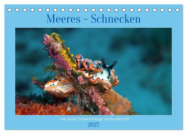 Produktbild: Meeres-Schnecken (Tischkalender 2027 DIN A5 quer), CALVENDO Monatskalender