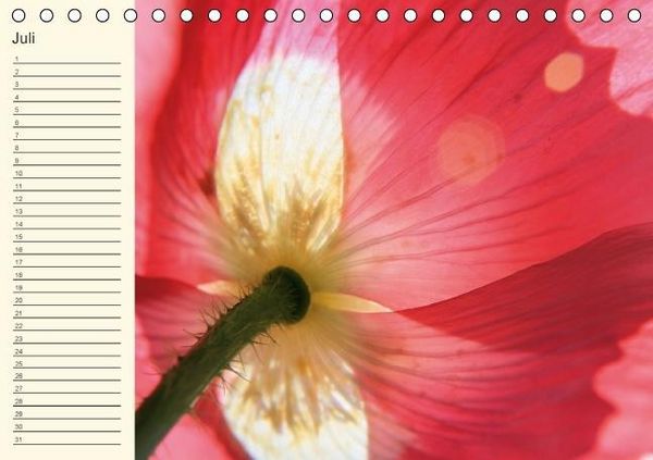 Produktbild: Geburtstagskalender "Nette Kleinigkeiten" (Tischkalender immerw&auml;hrend DIN A5 quer)