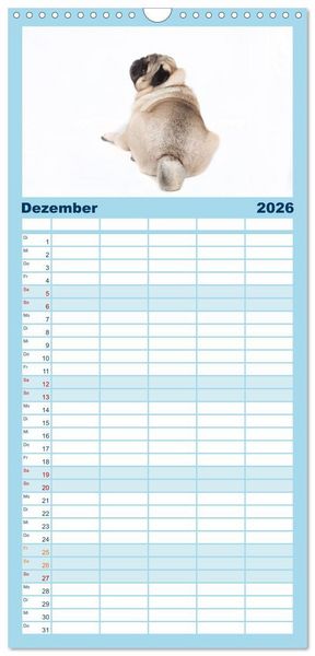 Produktbild: Familienplaner 2026 - Mops - unwiderstehlich und charmant mit 5 Spalten (Wandkalender, 21 x 45 cm) CALVENDO
