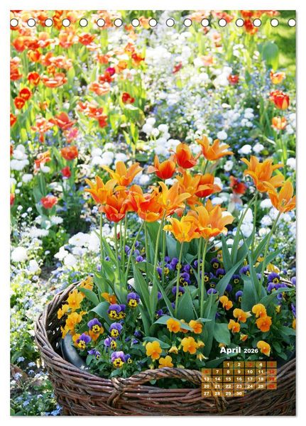 Produktbild: Ein buntes Tulpenjahr (Tischkalender 2026 DIN A5 hoch), CALVENDO Monatskalender
