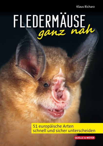 Produktbild: Flederm&auml;use ganz nah