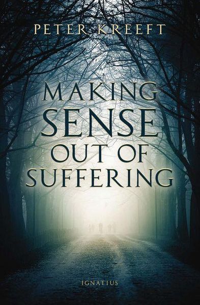 Produktbild: Making Sense Out of Suffering