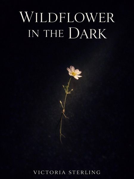Produktbild: Wildflower in the Dark