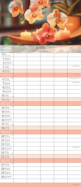 Produktbild: Familienplaner Zen 2026 - Familien-Timer 19,5x45 cm - 5 Spalten - Wand-Planer - viel Platz für Eintragungen - Familienkalender - Alpha Edition