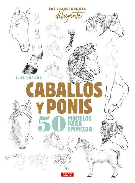 Produktbild: Caballos y ponis : 50 modelos para empezar
