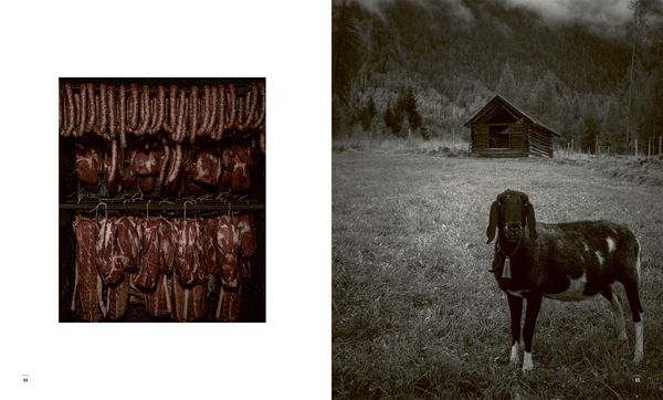 Habitat: Die neue Tiroler Küche