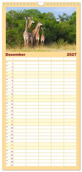 Produktbild: Familienplaner 2027 - Afrika Wildlife-Fotografien mit 5 Spalten (Wandkalender, 21 x 45 cm) CALVENDO