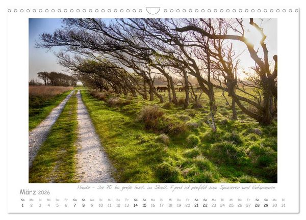 Produktbild: Sehnsucht Westj&uuml;tland (Wandkalender 2026 DIN A3 quer), CALVENDO Monatskalender