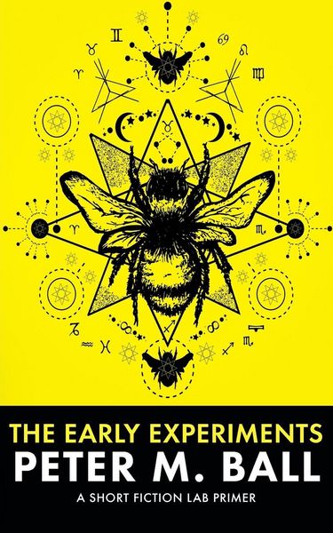 Produktbild: The Early Experiements