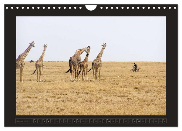 Produktbild: Kenia (Wandkalender 2026 DIN A4 quer), CALVENDO Monatskalender