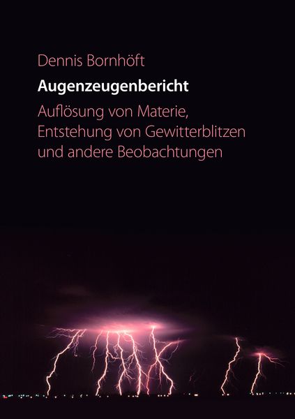 Produktbild: Augenzeugenbericht. Aufl&ouml;sung von Materie ...
