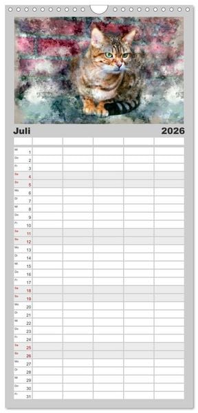 Produktbild: Familienplaner 2026 - Katzenkalender mausgemalt mit 5 Spalten (Wandkalender, 21 x 45 cm) CALVENDO