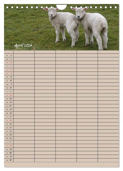 Produktbild: Der bel&auml;mmerte Familienplaner (Wandkalender 2026 DIN A4 hoch), CALVENDO Monatskalender