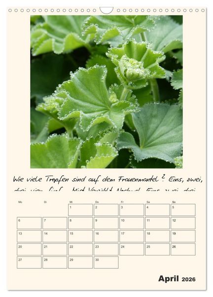 Produktbild: Gartengeschichten (Wandkalender 2026 DIN A3 hoch), CALVENDO Monatskalender