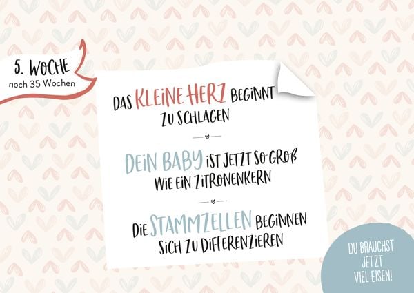 Produktbild: Ein kleines Wunder w&auml;chst heran.