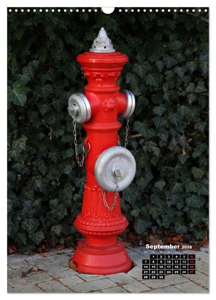 Produktbild: Nostalgie Hydranten (Wandkalender 2026 DIN A3 hoch), CALVENDO Monatskalender