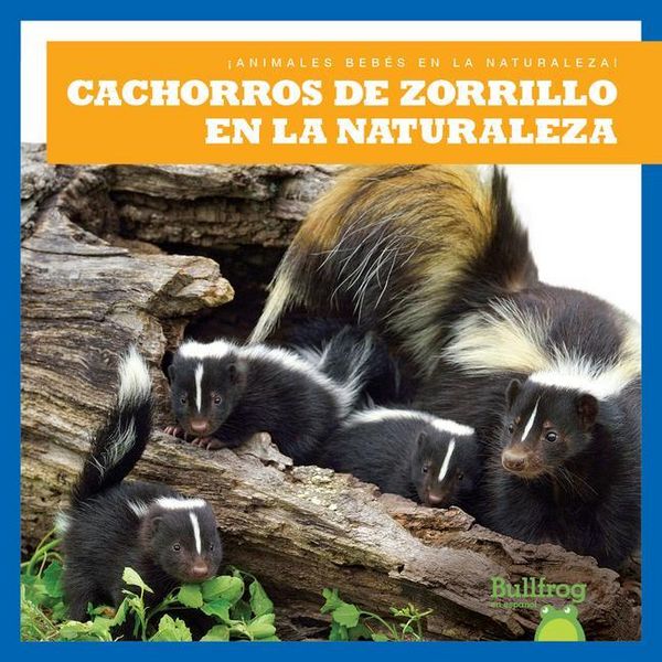 Produktbild: Cachorros de Zorrillo En La Naturaleza (Skunk Kits in the Wild)