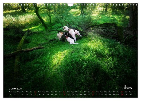 Produktbild: Mothers of earth- life can be so voluptuous (Wall Calendar 2026 DIN A3 landscape), CALVENDO 12 Month Wall Calendar