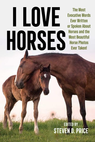 Produktbild: I Love Horses