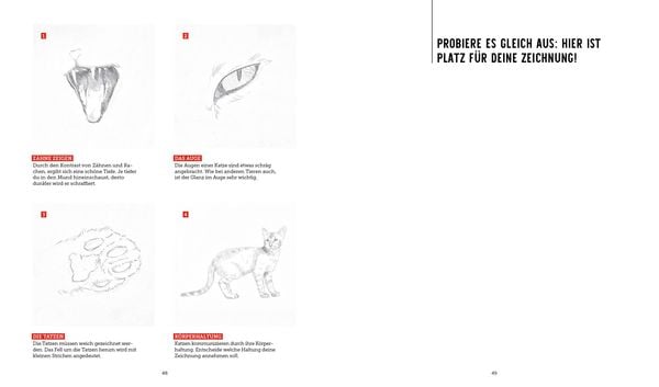 Produktbild: Tiere zeichnen &ndash; Das XXL-Starter-Set: Zwei B&uuml;cher im Bundle