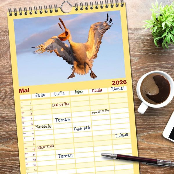 Produktbild: Familienplaner 2026 - Krauskopfpelikane mit 5 Spalten (Wandkalender, 21 x 45 cm) CALVENDO