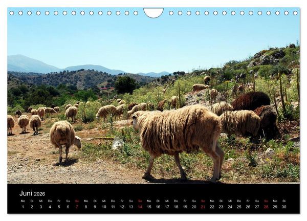 Produktbild: Insel Kreta (Wandkalender 2026 DIN A4 quer), CALVENDO Monatskalender