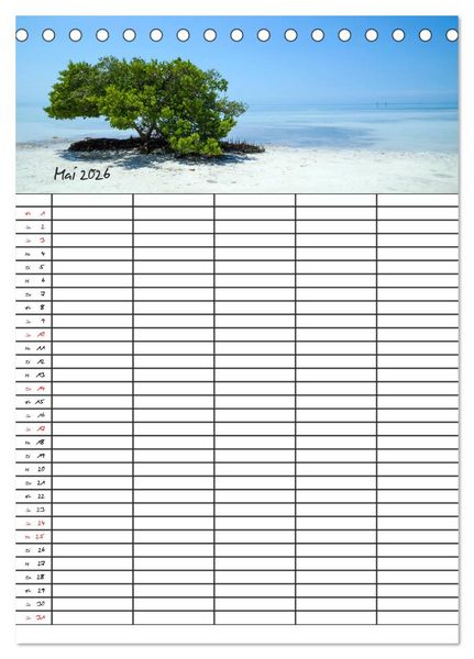 Produktbild: Idyllisches Florida / Familienplaner (Tischkalender 2026 DIN A5 hoch), CALVENDO Monatskalender