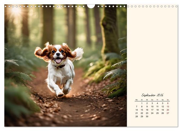 Produktbild: Goldige Kavalier King Charles Spaniels (Wandkalender 2026 DIN A3 quer), CALVENDO Monatskalender